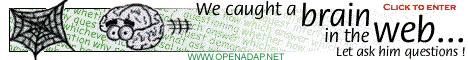 OpenAdap.net