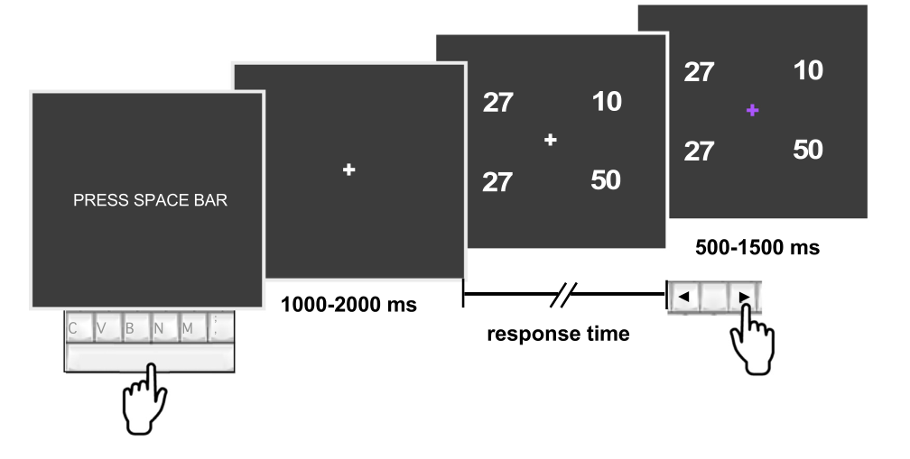 Example trial sequence for the safe-versus-risky decision-making task.