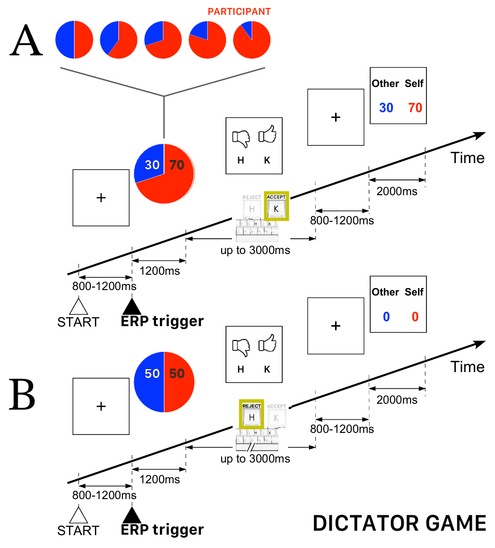 Dictator Game task procedure, stimulus timing and ERP trigger.